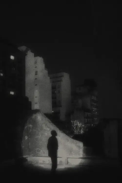 Movie poster "The Night is Fading Away"