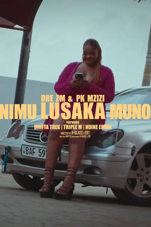 Movie poster "This is Lusaka"