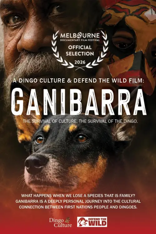 Movie poster "Ganibarra"