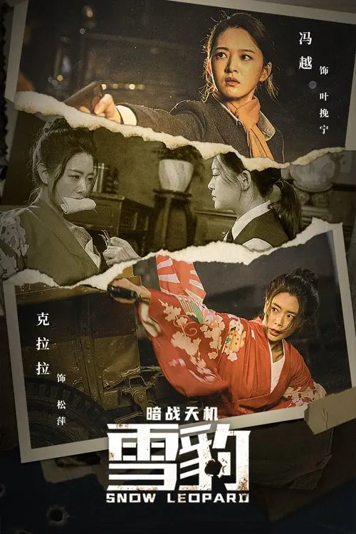 Movie poster "Snow Leopard Secret War"