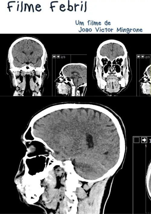 Movie poster "Filme Febril"