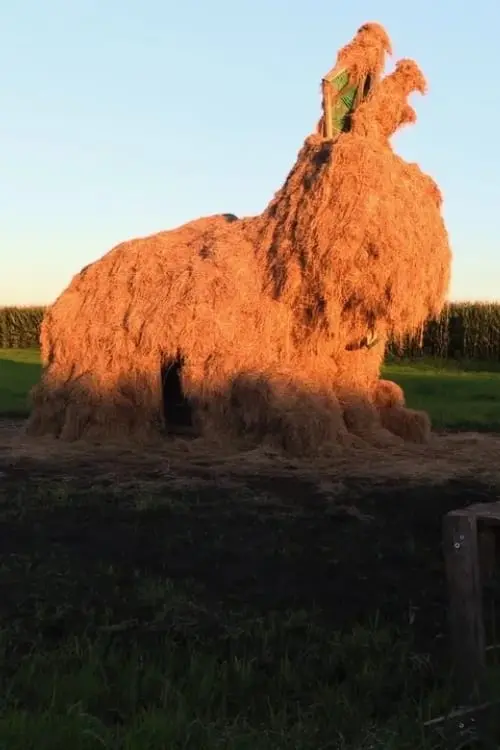 Movie poster "The Fen-fire"