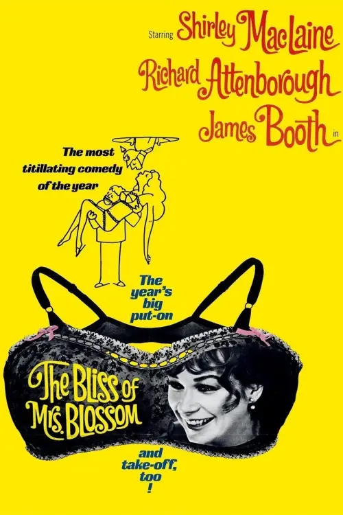 Movie poster "The Bliss of Mrs. Blossom"