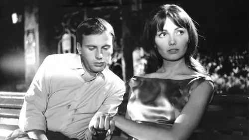 Watch film Il Sorpasso | IL SORPASSO - U.S. Re-release Trailer