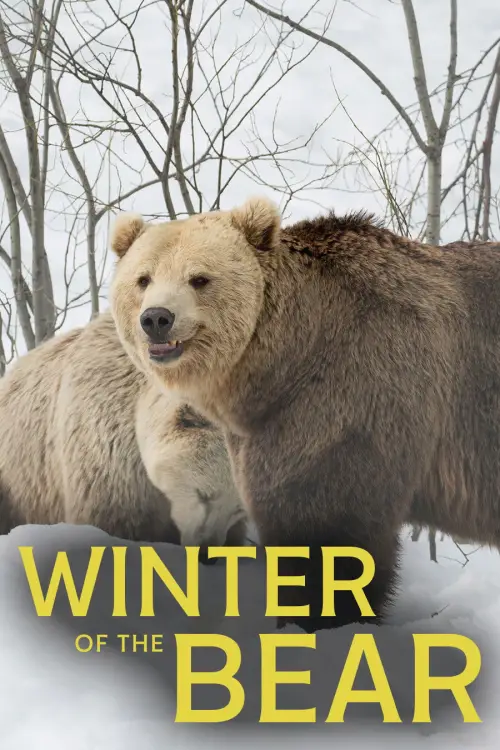 Movie poster "Winter of the Bear"