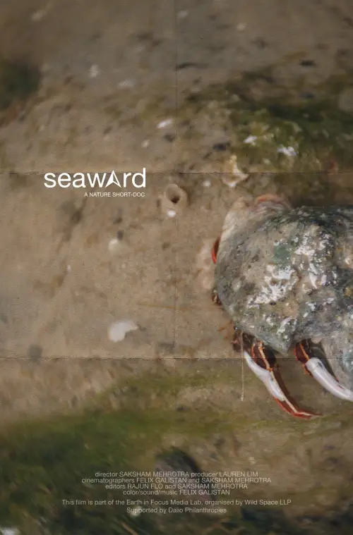 Movie poster "seaward"
