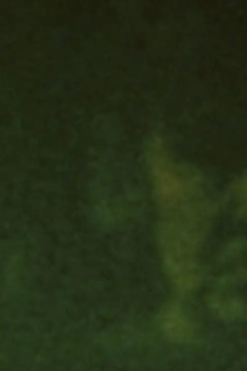 Movie poster "Song 29"