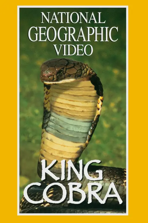 Movie poster "King Cobra"