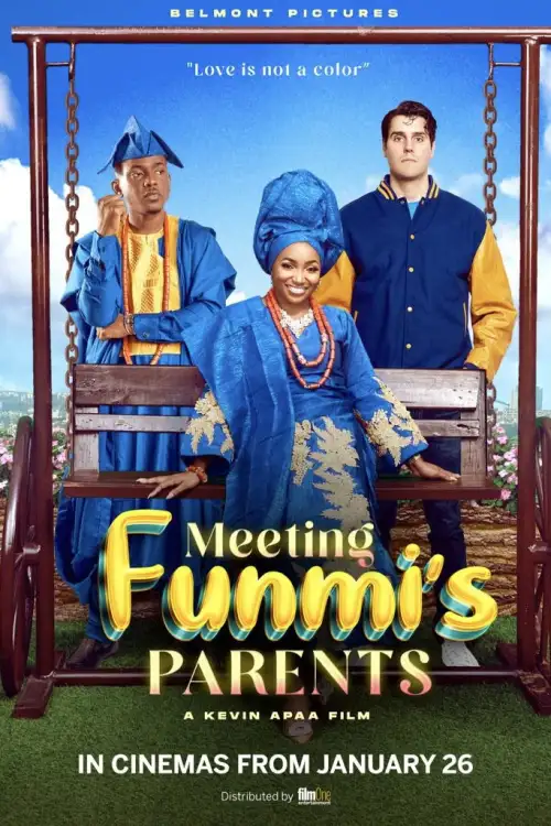 Movie poster "Meeting Funmi