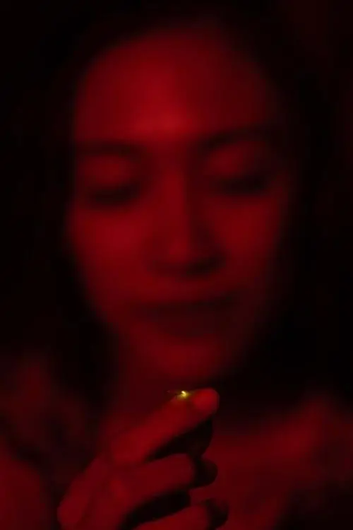 Movie poster "Return of the Fireflies"