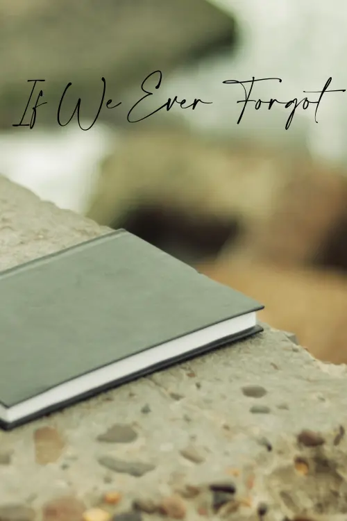 Movie poster "If We Ever Forgot"