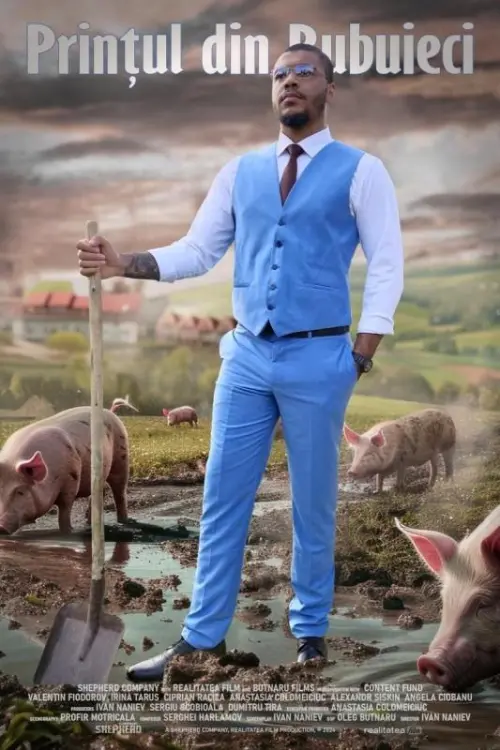 Movie poster "The Prince from Bubuieci"