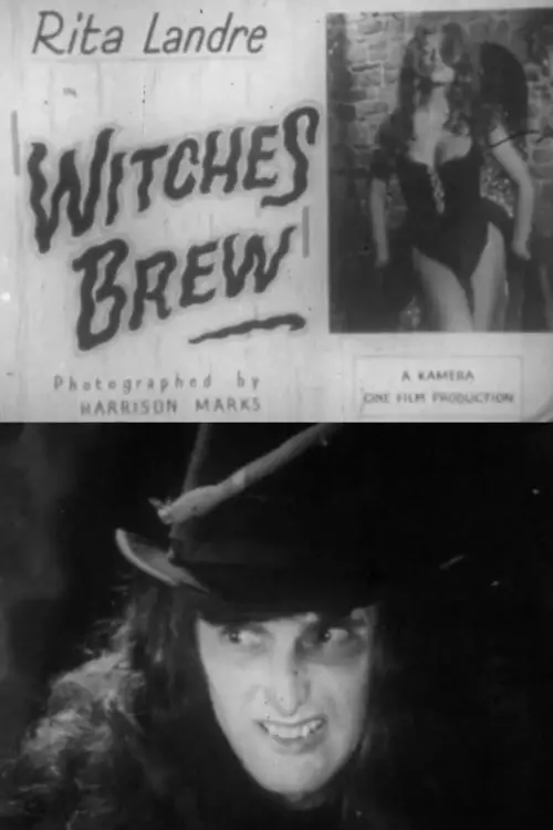 Movie poster "Witches Brew"