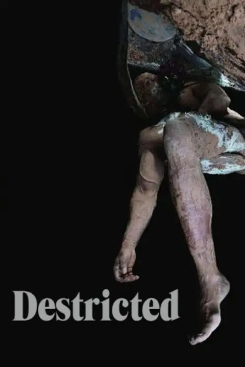 Movie poster "Destricted"