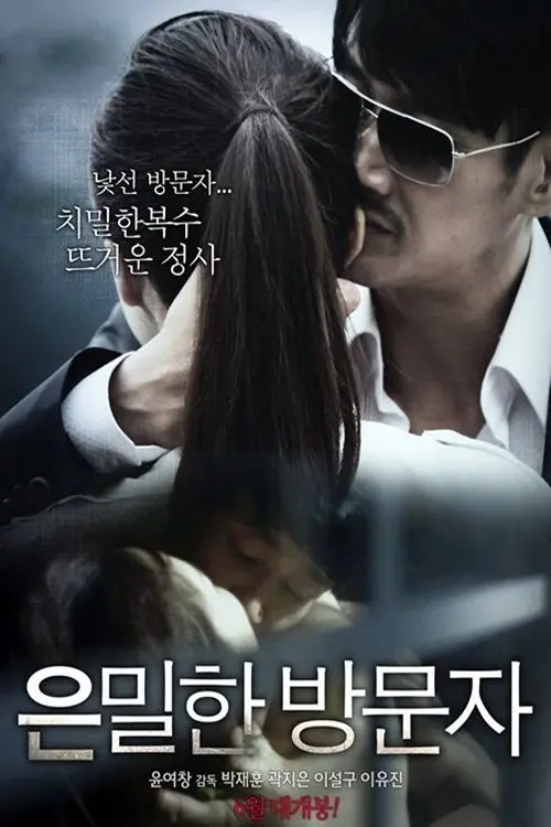 Movie poster "Secret Visitor"