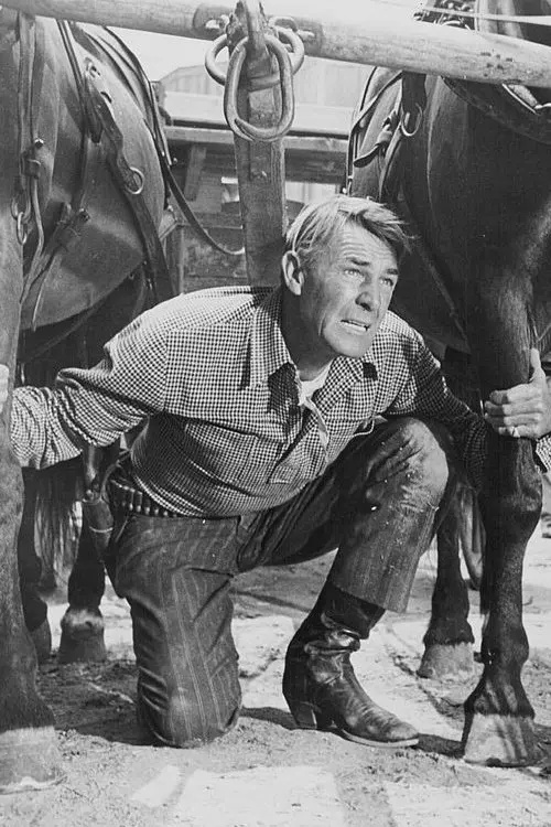 Movie poster "Tall Man Riding"