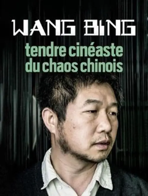 Movie poster "Wang Bing, Tendre Cinéaste Du Chaos Chinois"