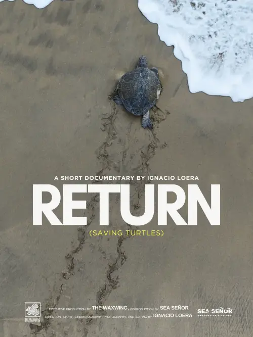 Movie poster "Return: Saving Turtles"