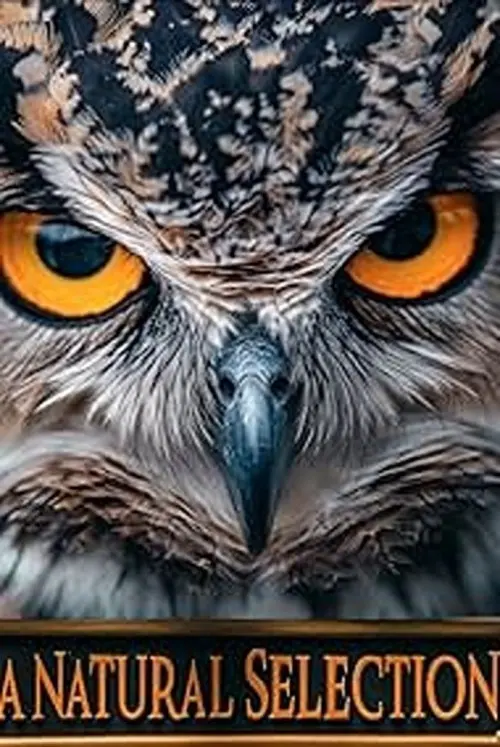 Movie poster "A Natural Selection"