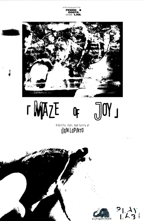 Movie poster "Maze of Joy"