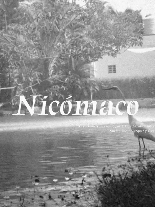 Movie poster "Nicómaco"