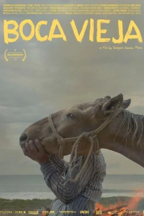 Movie poster "Boca Vieja"