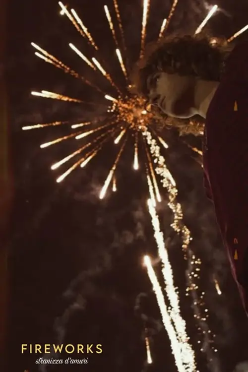 Movie poster "Fireworks"
