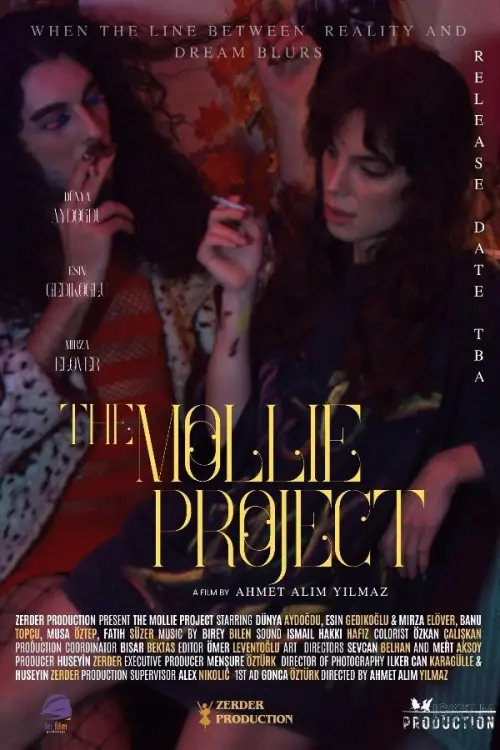 Movie poster "The Mollie Project"