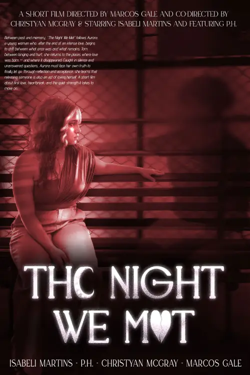 Movie poster "The Night We Met"