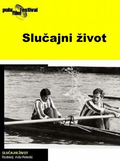 Movie poster "Accidental Life"