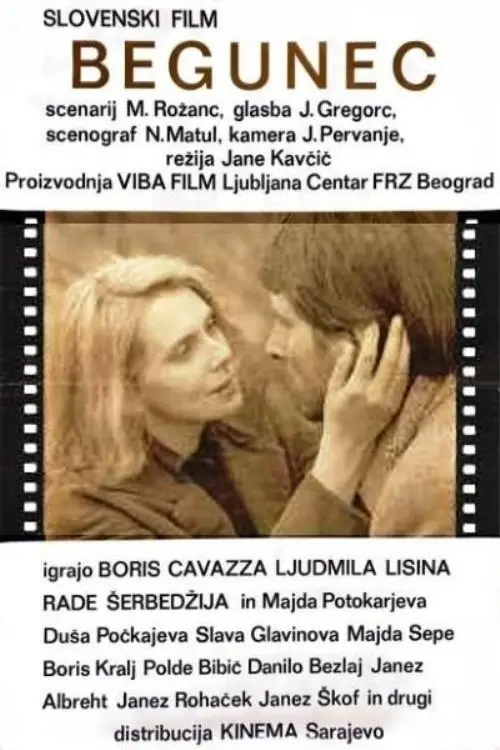 Movie poster "The Fugitive"