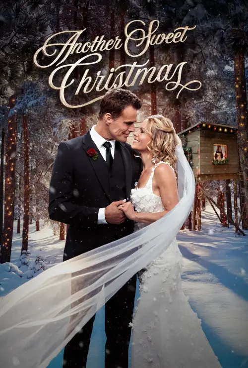 Movie poster "Another Sweet Christmas"