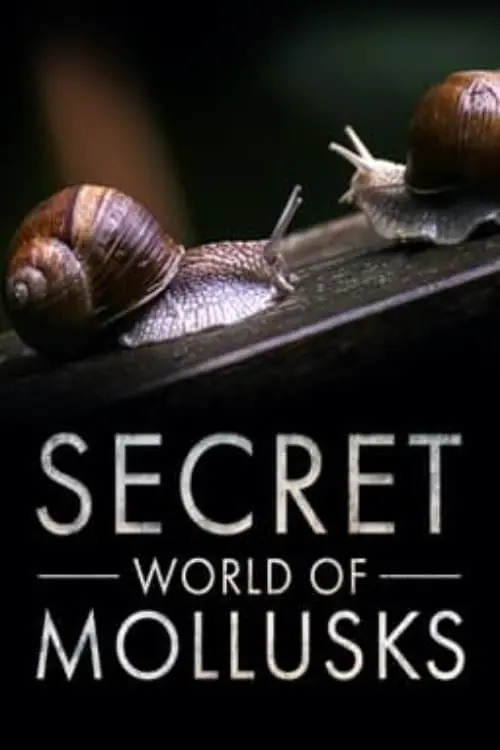 Movie poster "Secret World of Mollusks"