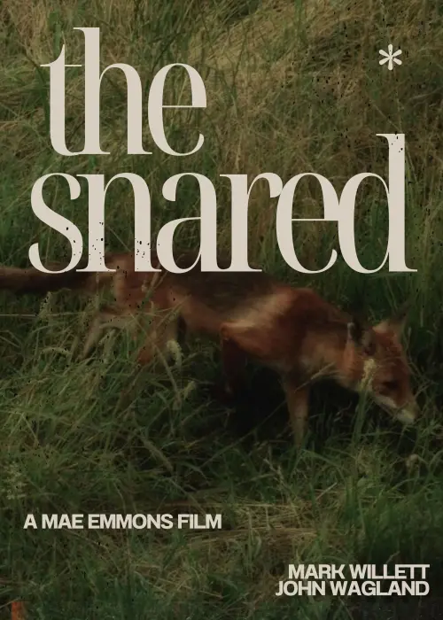 Movie poster "The Snared"