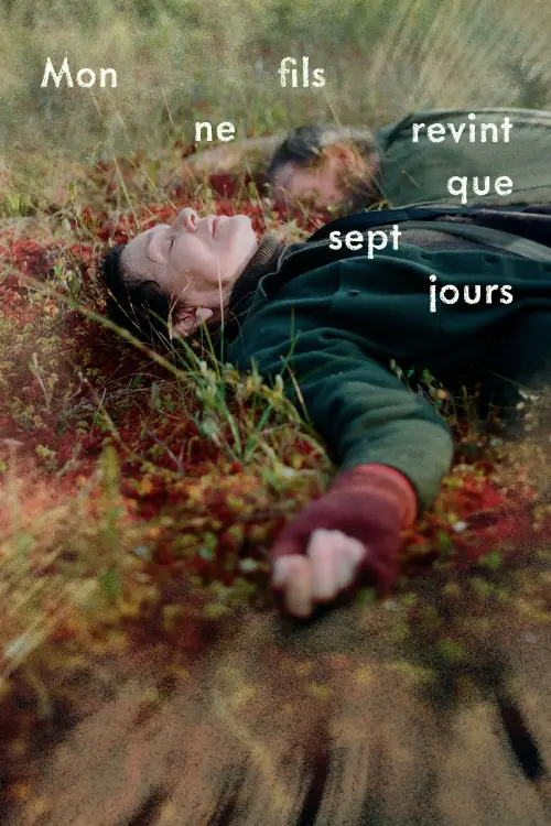 Movie poster "My Son Came Back To Disappear"