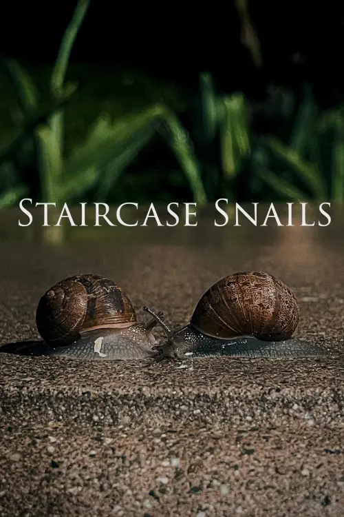 Movie poster "Staircase Snails"