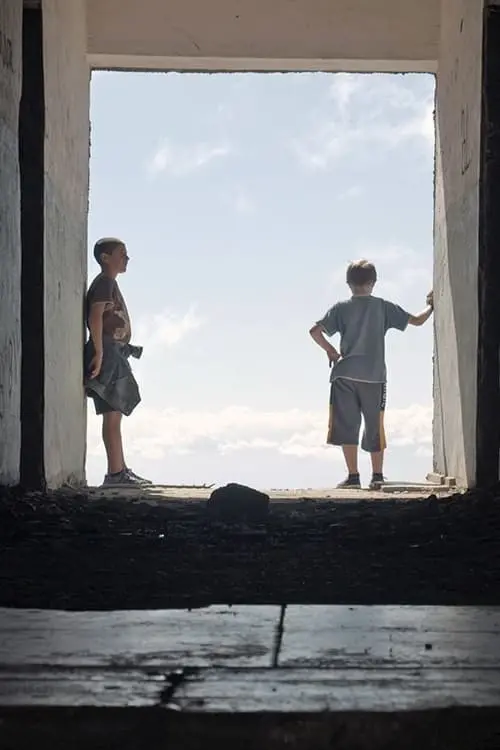 Movie poster "Life and Death of a Christmas Tree"