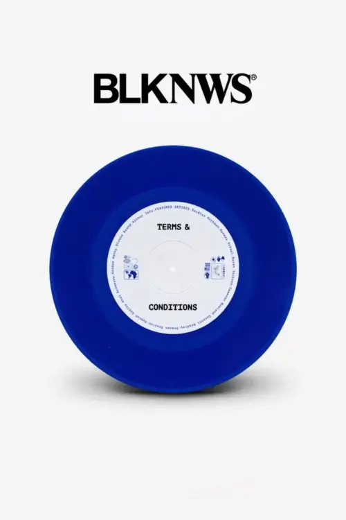 Movie poster "BLKNWS: Terms & Conditions"