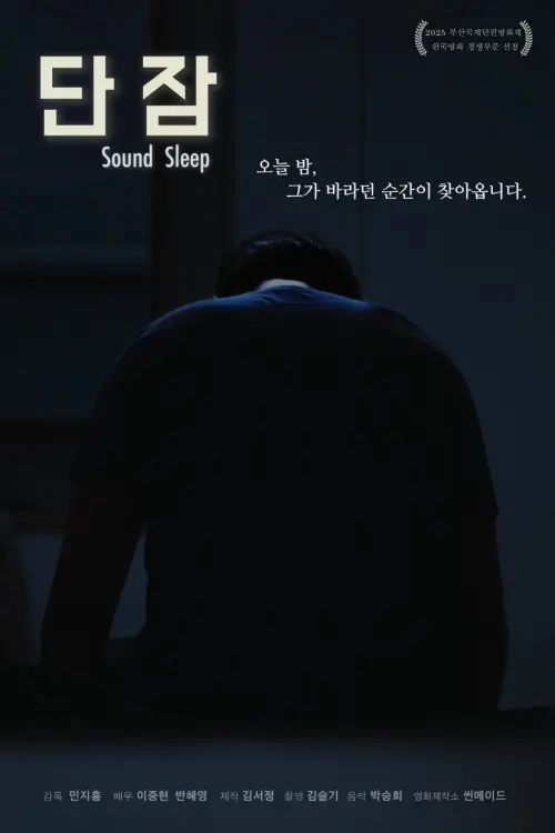 Movie poster "Sound Sleep"