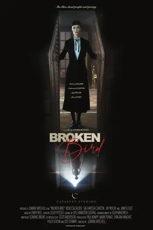 Movie poster "Broken Bird"