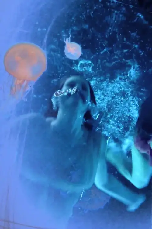 Movie poster "Stargazer"