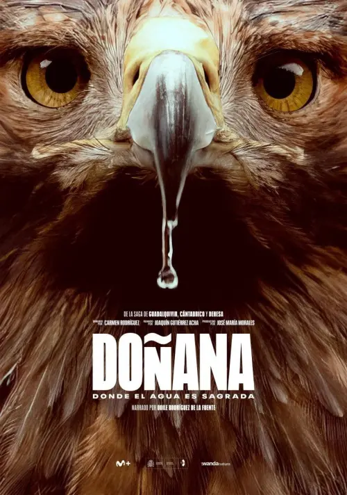 Movie poster "Doñana"