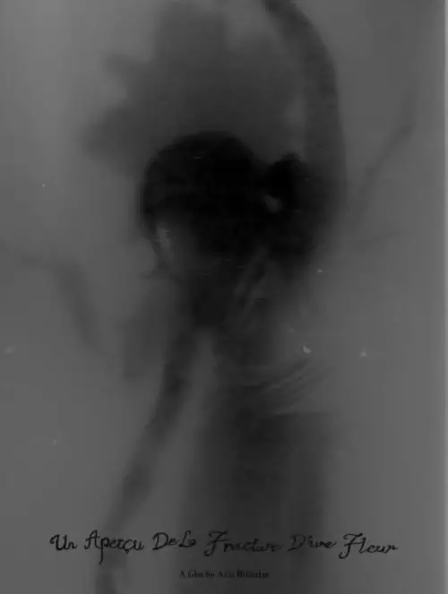 Movie poster "Un Aperçu De La Fracture D’une Fleur"