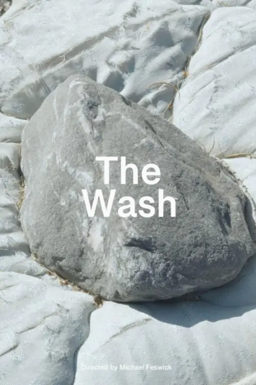 Movie poster "The Wash"