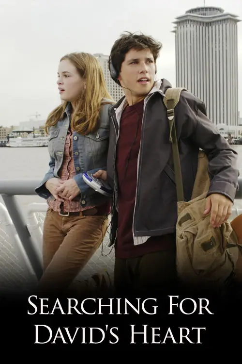 Movie poster "Searching for David
