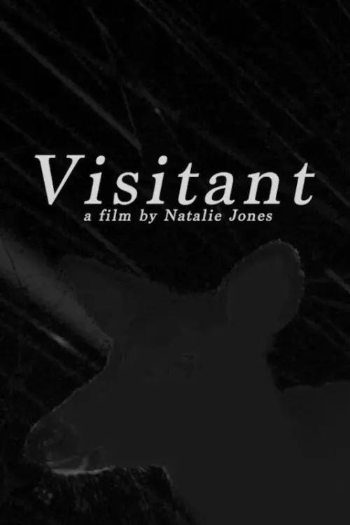 Movie poster "Visitant"