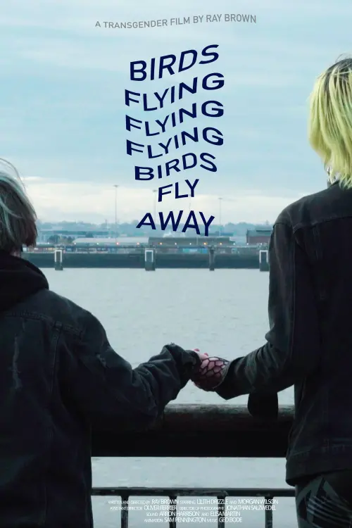 Movie poster "Birds Flying Flying Flying Birds Fly Away"