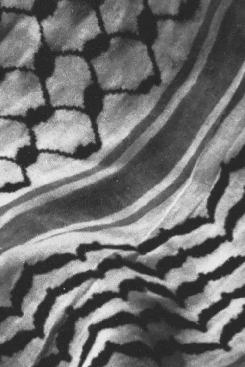 Movie poster "The City and Her Stones"