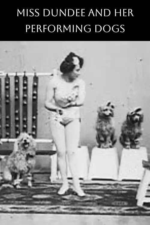 Movie poster "Miss Dundee and Her Performing Dogs"
