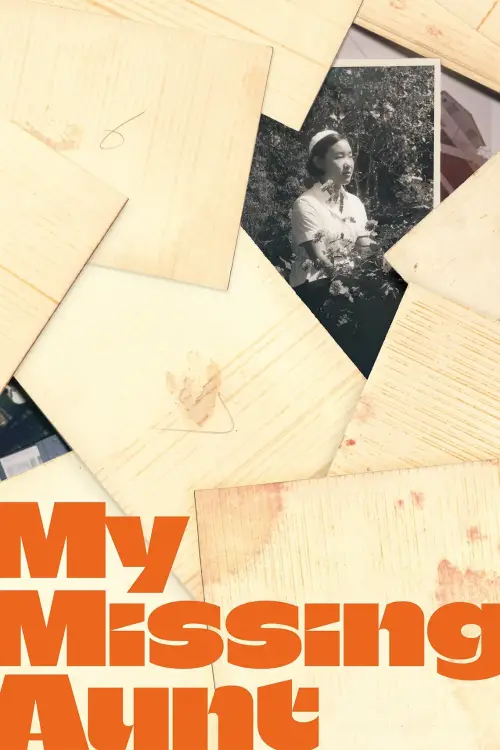 Movie poster "My Missing Aunt"